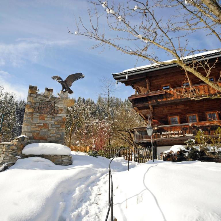 Fuchswirt Kelchsau - Mühlfeldhof - Superior Apartment mit 1 Schlafzimmer und Balkon - 21