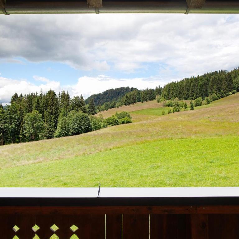 Appartment Stockeben - Superior Apartment mit 1 Schlafzimmer und Balkon - 20