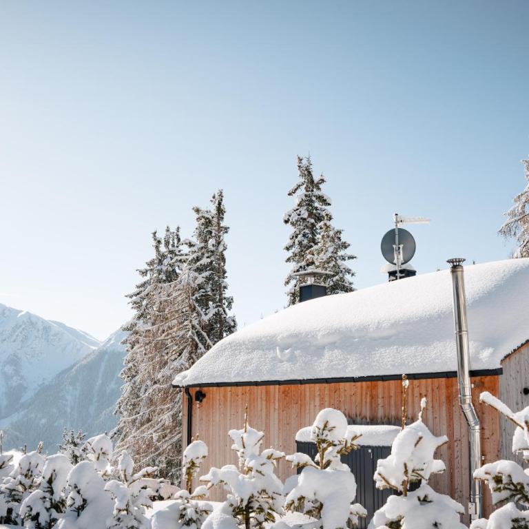 Chalet Bergfreund - Chalet - 33
