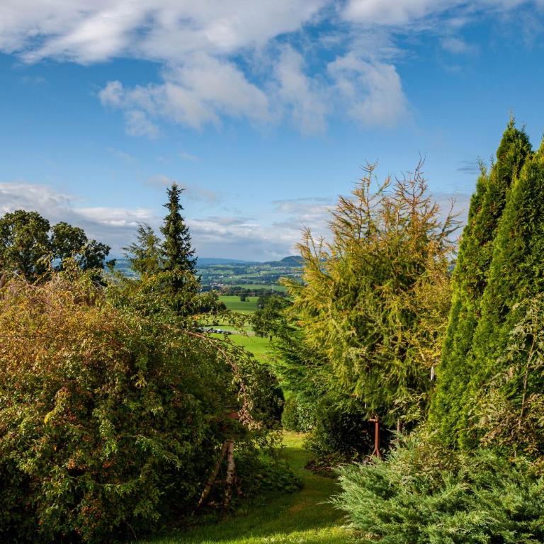 Allpano Pension und Ferienwohnungen - Apartment mit 1 Schlafzimmer und Gartenblick - 16