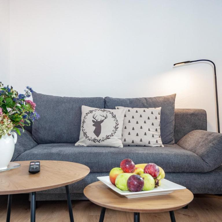Allpano Pension und Ferienwohnungen - Apartment mit 1 Schlafzimmer und Gartenblick - 4