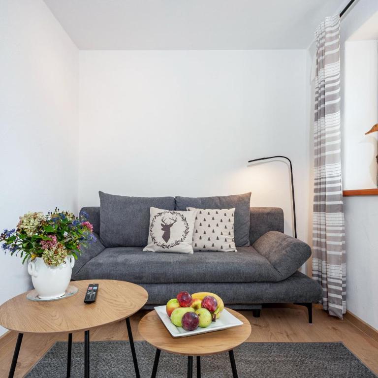 Allpano Pension und Ferienwohnungen - Apartment mit 1 Schlafzimmer und Gartenblick - 3