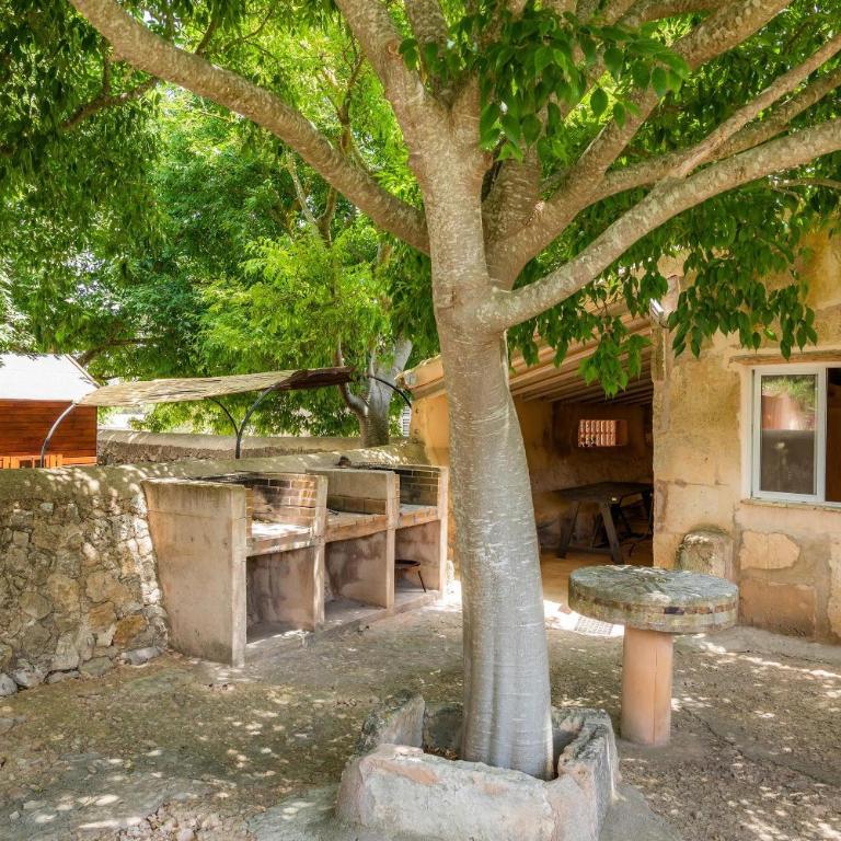 Casa Amitger. Finca Es Rafalet - Habitación Cuádruple con ducha - 20