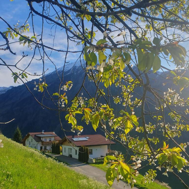 Tratterhof Apt Astjoch - Deluxe-Apartment mit 2 Schlafzimmern und Gartenblick - 11