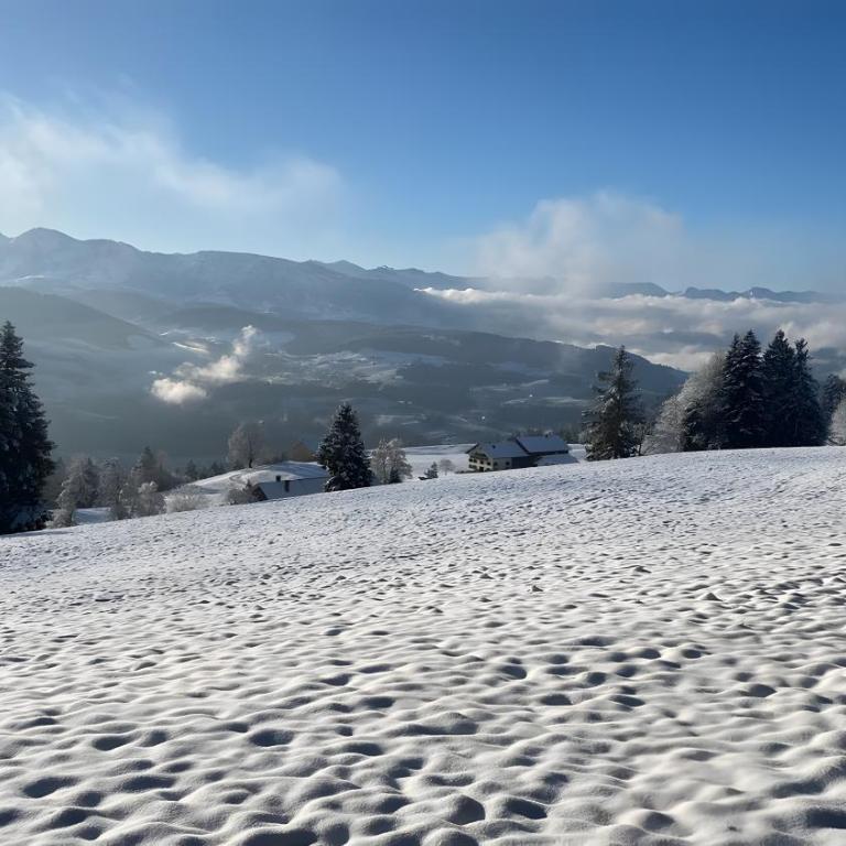 Pfoten und Berge Oberreute - Superior Apartment mit 1 Schlafzimmer und Balkon - 32