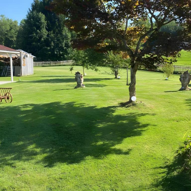 Pfoten und Berge Oberreute - Superior Apartment mit 1 Schlafzimmer und Balkon - 10