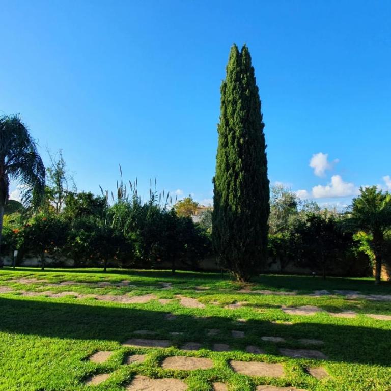 Villa Dammusello - Villa con Vista Mare - 6