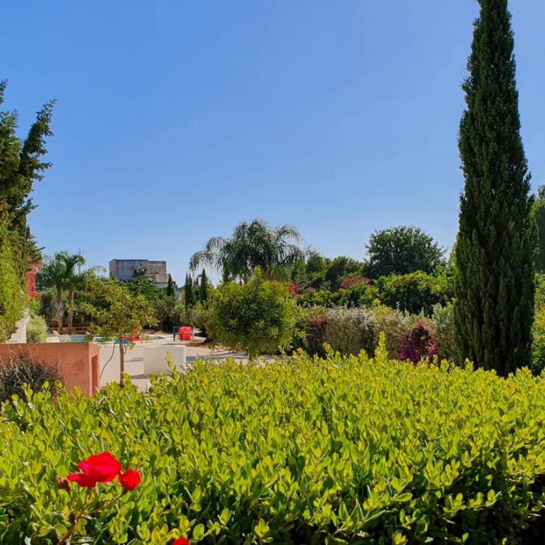 Villa Dammusello - Villa con Vista Mare - 12