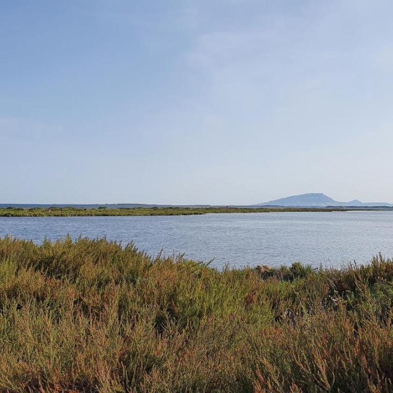 Villa Dammusello - Villa con Vista Mare - 60