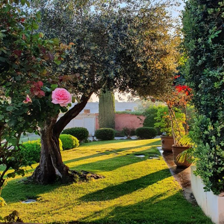 Villa Dammusello - Villa con Vista Mare - 9