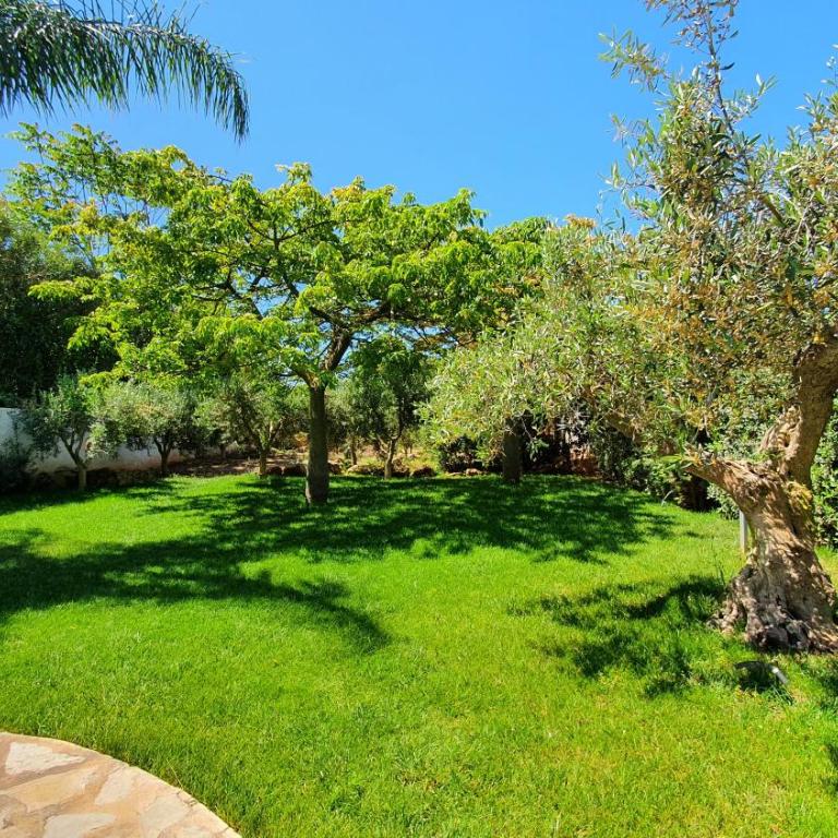 Villa Dammusello - Villa con Vista Mare - 40