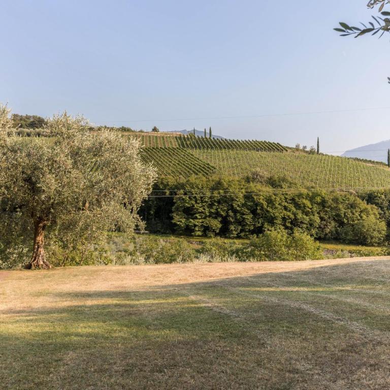 Casa Zanoni - Appartamento Premium con 3 Camere da Letto e Balcone - 35