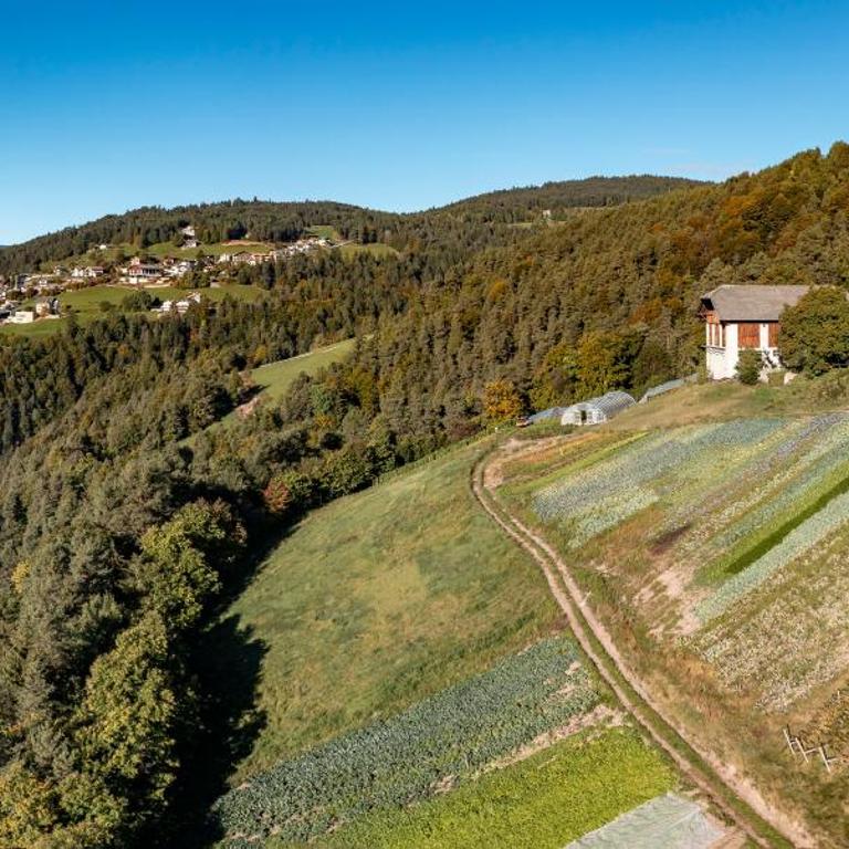 Reiterhof Apt Gaia - Apartamento Deluxe de 2 dormitorios con vistas al jardín - 32