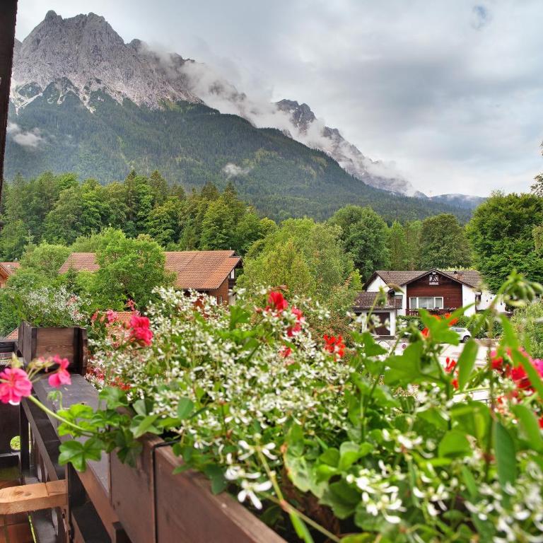 Aschaubichl - Wohnung Enzian - Studio mit Bergblick - 13