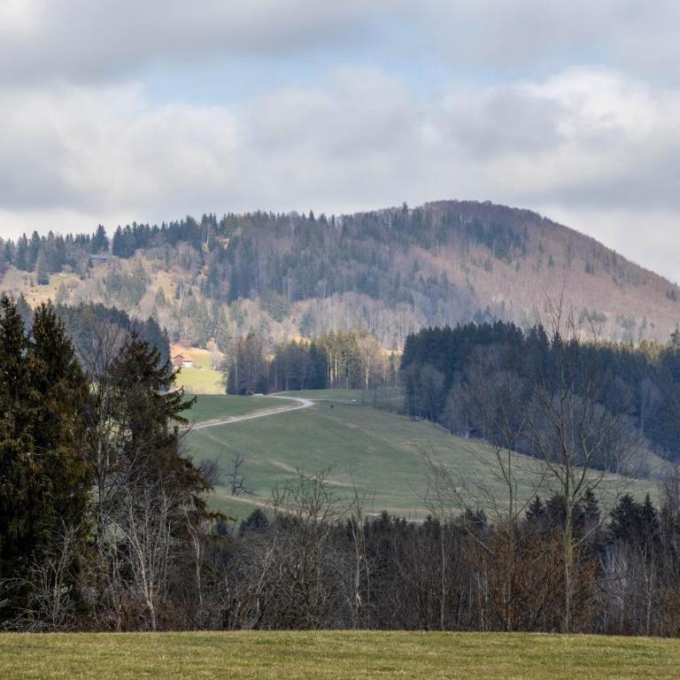 Ferienwohnung Bamberger Gipfelblick - Deluxe-Apartment mit 2 Schlafzimmern und Gartenblick - 29