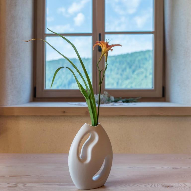 Egger an der Lahn - Apt Dolomiten - Two-Bedroom Deluxe Apartment with Garden View - 6