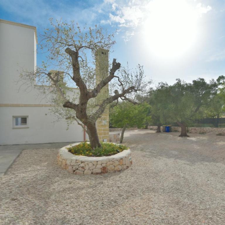 Masseria Don Salvatore - Villa con Vista Giardino - 36