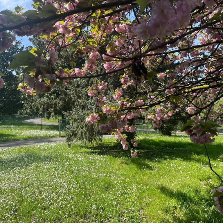 Villa Giacinti - Villa con Vista Giardino - 34