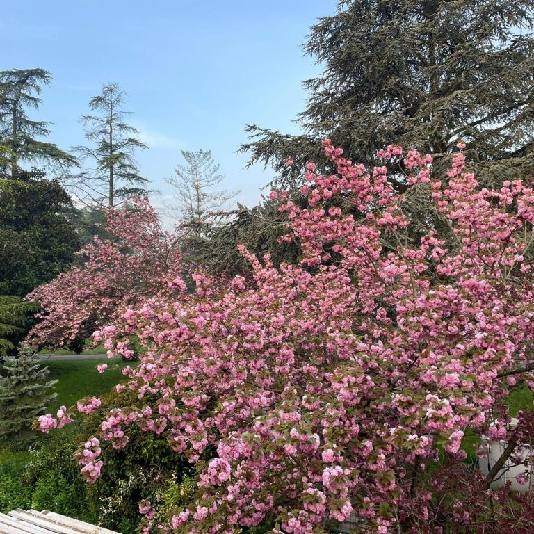 Villa Giacinti - Villa con Vista Giardino - 35