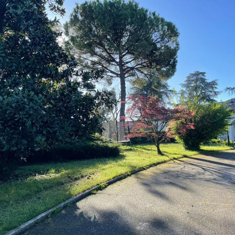 Villa Giacinti - Villa con Vista Giardino - 33