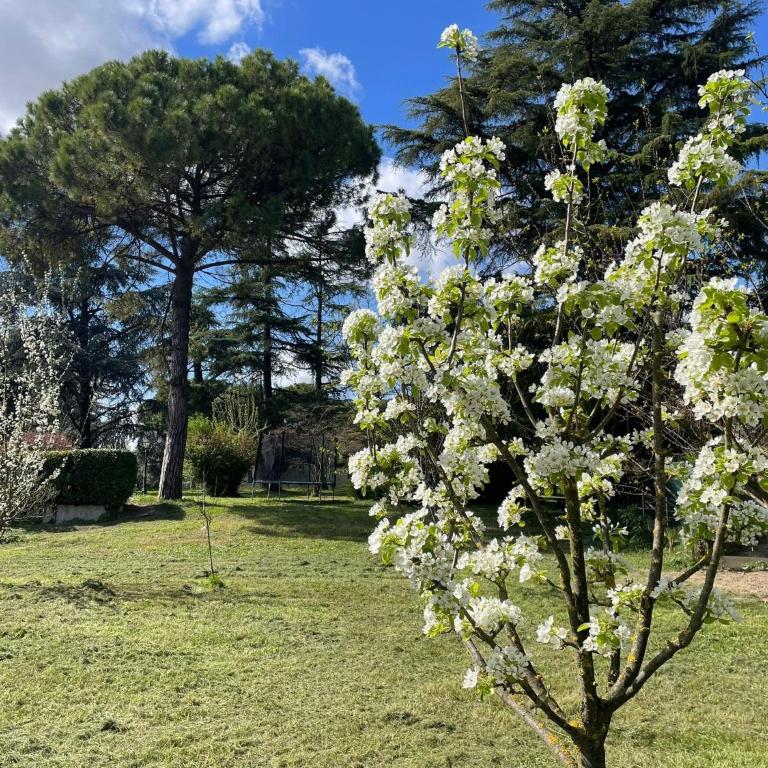Villa Giacinti - Villa con Vista Giardino - 27