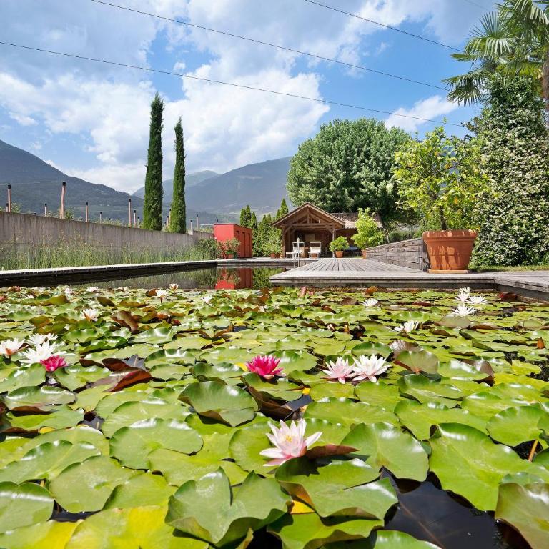 Weinsepphof Ferienwohnung 9 - Apartamento Deluxe de 2 dormitorios con balcón - 19