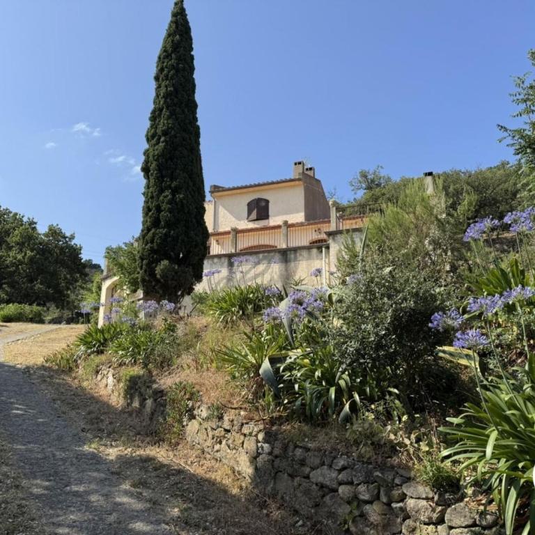 Le Mas Catois - Maison de Vacances - 37