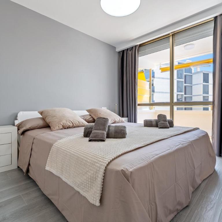Calafenga - Apartamento Superior de 1 dormitorio con balcón - 8