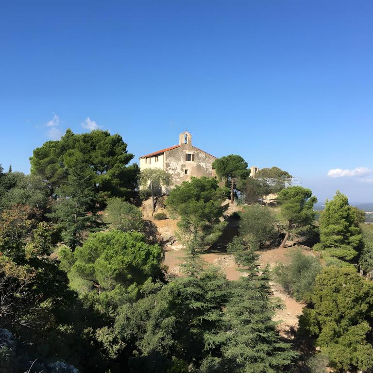 Le Mas Catois - Maison de Vacances - 20