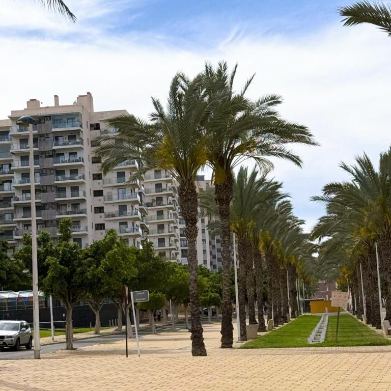 Cala alta - Apartamento Superior de 1 dormitorio con balcón - 41