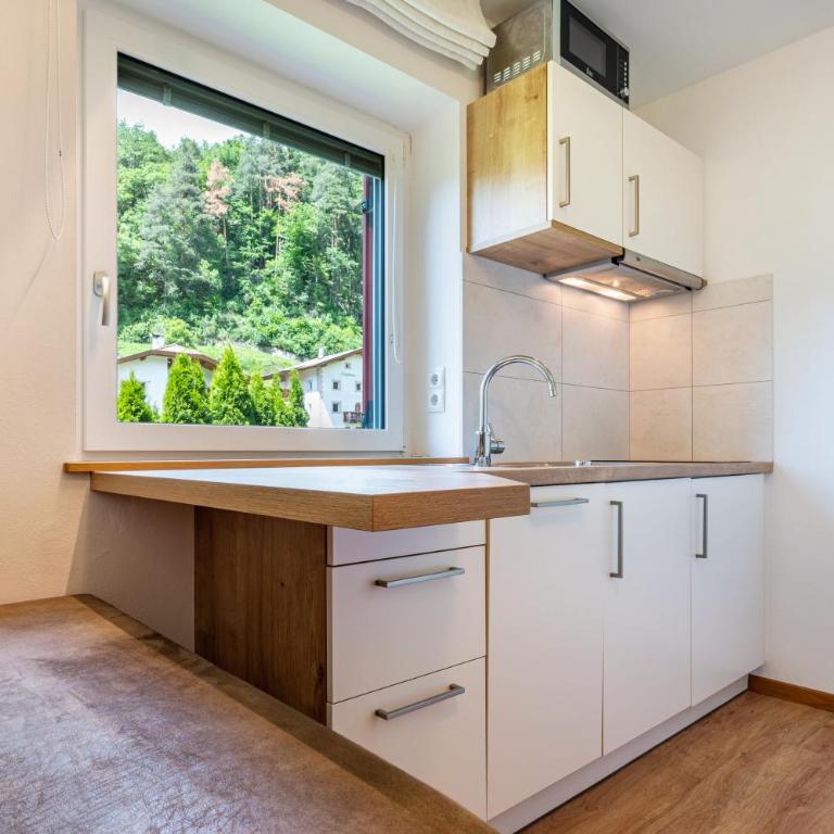 Talblick Apartement 2 - Monolocale con Terrazza - 8