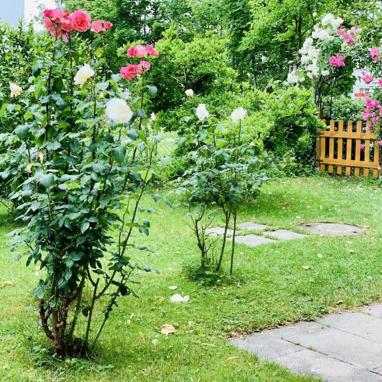 H N H Ferienwohnung - Apartment mit 1 Schlafzimmer und Gartenblick - 23