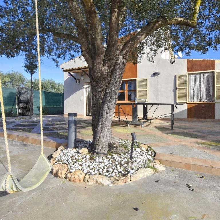 Collet De Manacor - Apartamento con terraza - 7
