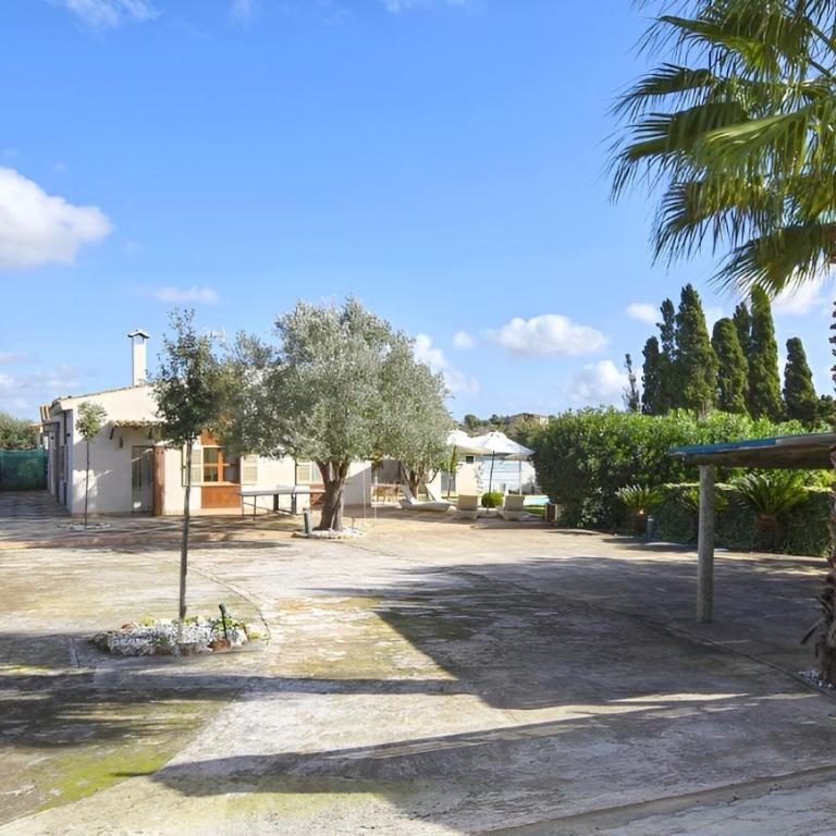 Collet De Manacor - Apartamento con terraza - 5