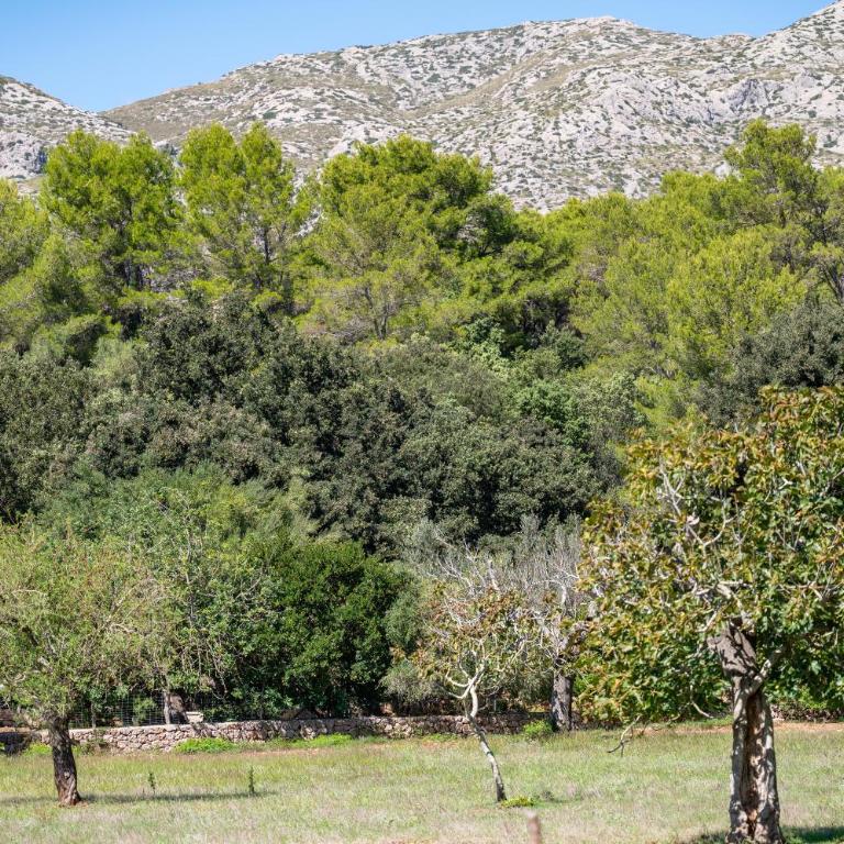 Finca Tirana - Casa de 2 dormitorios - 24
