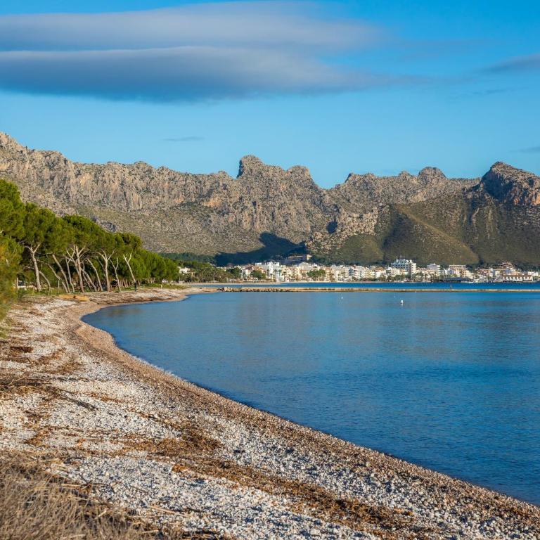 Apartamento Cala - Apartamento Superior de 1 dormitorio con balcón - 20