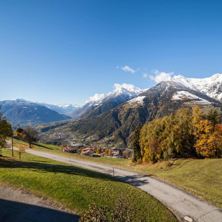 Hoferhof Apartement Bergspitze - Appartamento Superior con 1 Camera da Letto e Balcone - 21