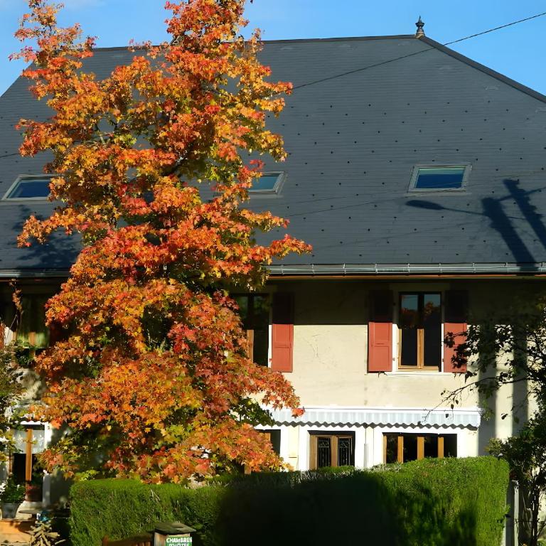La Grange - Appartement 1 Chambre - Vue sur Jardin - 2