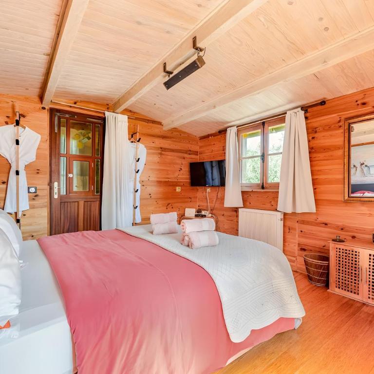Eco Chalet - Terrasses et sauna - Chalet con 1 Camera da Letto - 17