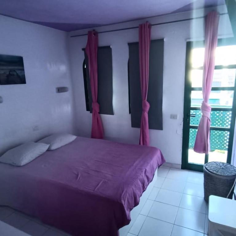 Dunaflor Gemelo 1 - Superior One-Bedroom Apartment with Balcony - 6