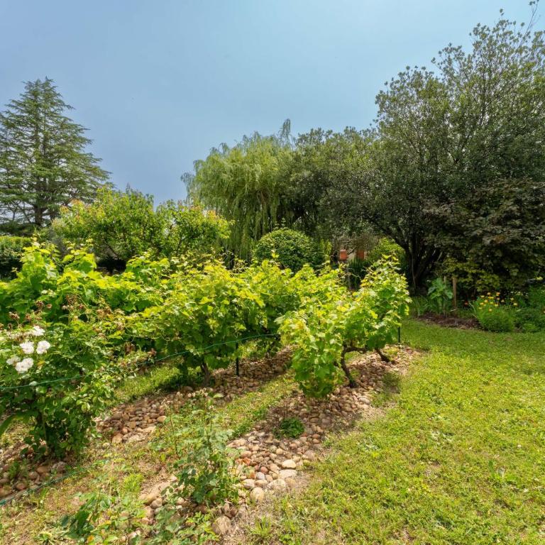 Villa La Mireio - Casa con 1 dormitorio - 20