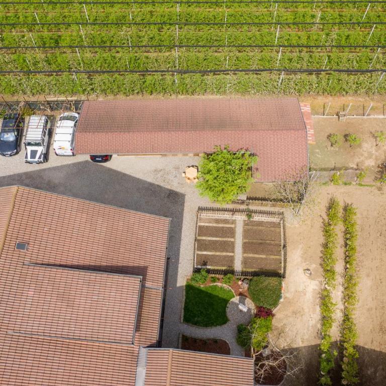 Kammerhof Apartment Traube - Appartamento Deluxe con 2 Camere da Letto e Vista Giardino - 31