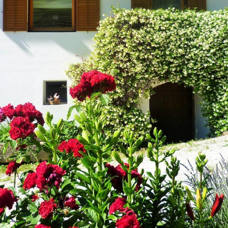 Fröhlichhof Wohnung Pergola - Two-Bedroom Deluxe Apartment with Garden View - 12