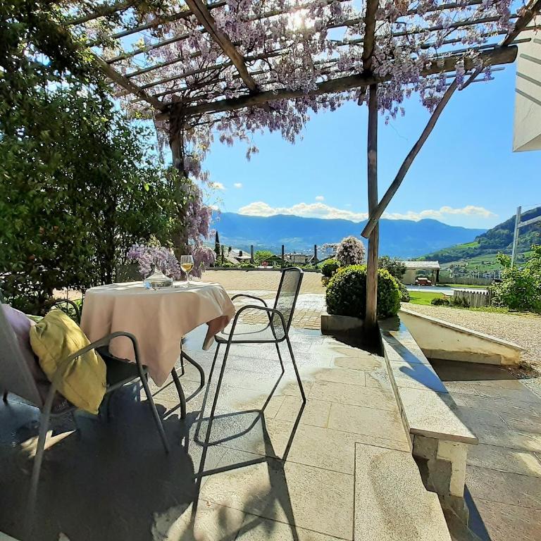 Fröhlichhof Wohnung Pergola - Two-Bedroom Deluxe Apartment with Garden View - 8