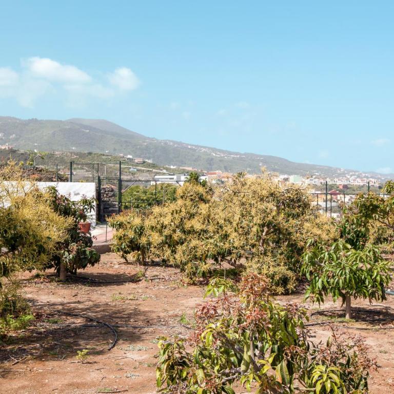 Casa Quemahierro 2 - Casa con 1 dormitorio - 22