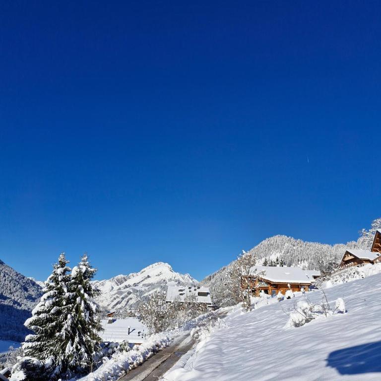 L'échappée Belle - Chatel - Chalet 2 Chambres - 13