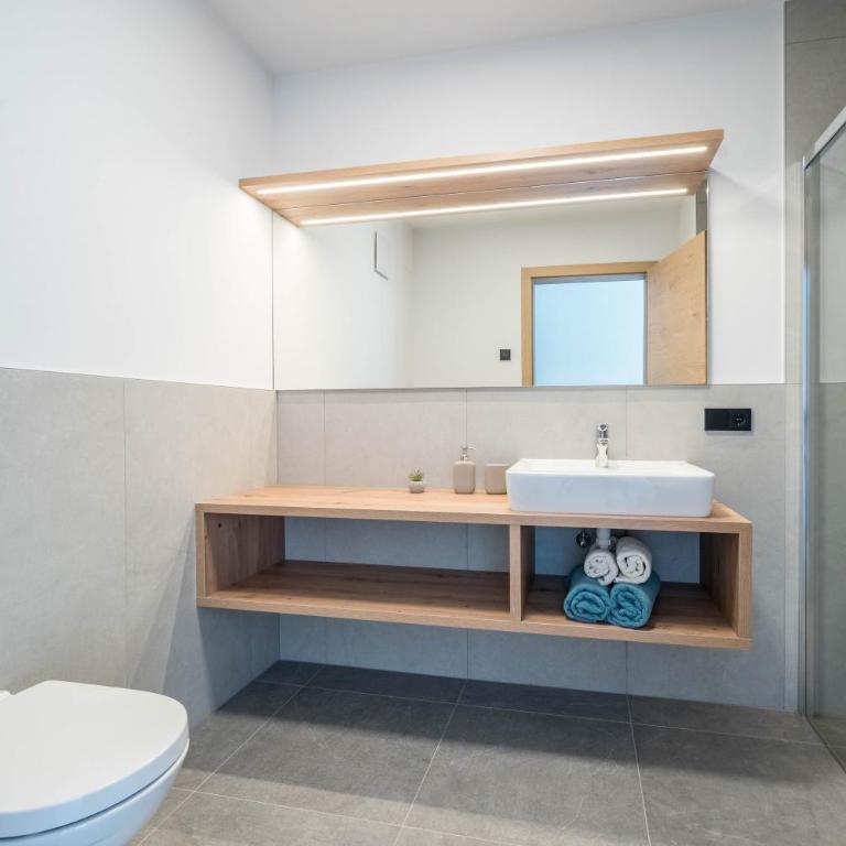 Sunnig Apartment Sonnenschein - Superior One-Bedroom Apartment with Balcony - 7