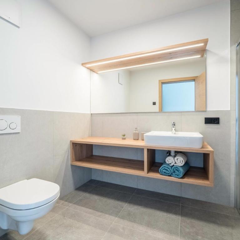 Sunnig Apartment Sonnenschein - Superior One-Bedroom Apartment with Balcony - 6