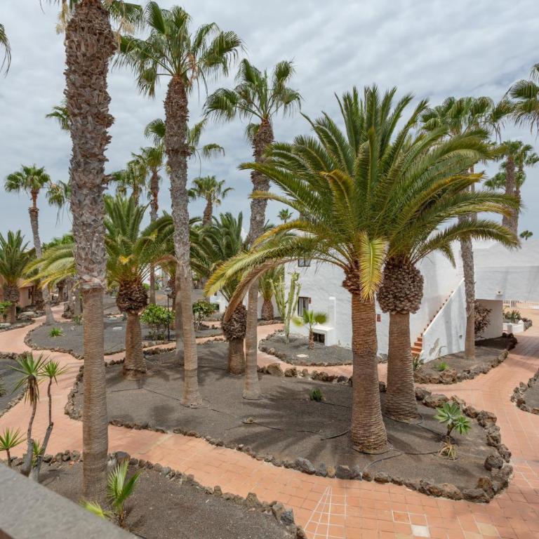 Margarita - Oasis Duna - Apartamento Superior de 1 dormitorio con balcón - 19