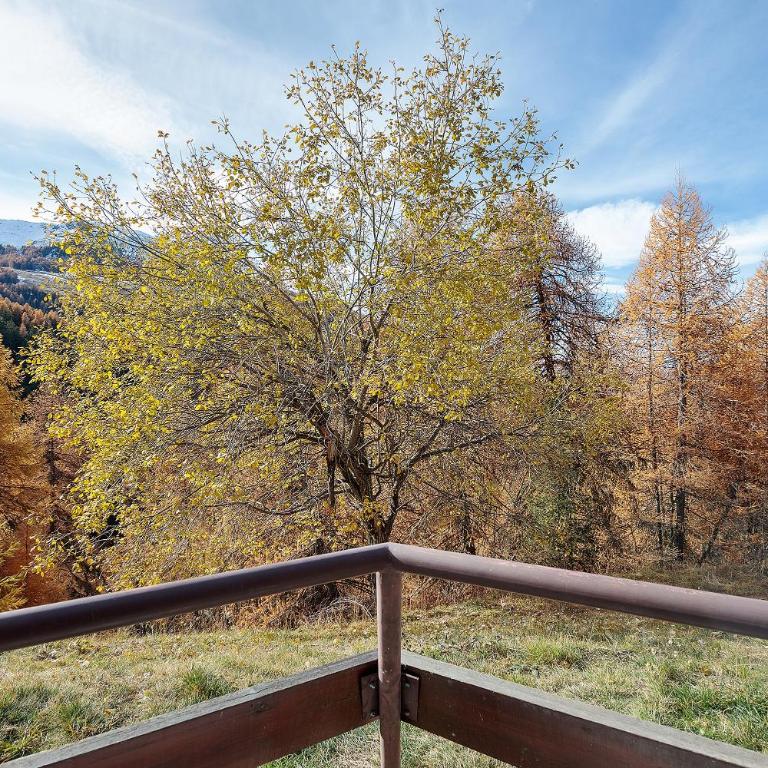 Ma Chérie-Lumière - Monolocale con Vista Montagna - 30